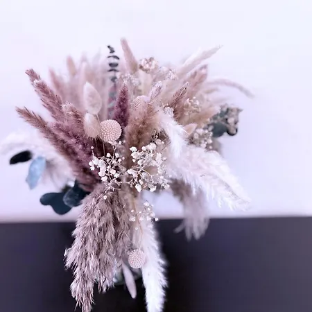 5 Etoiles A Deux Pas De Monaco ! * Beausoleil